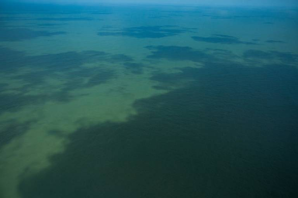 Região da Foz do Amazonas, no Amapá