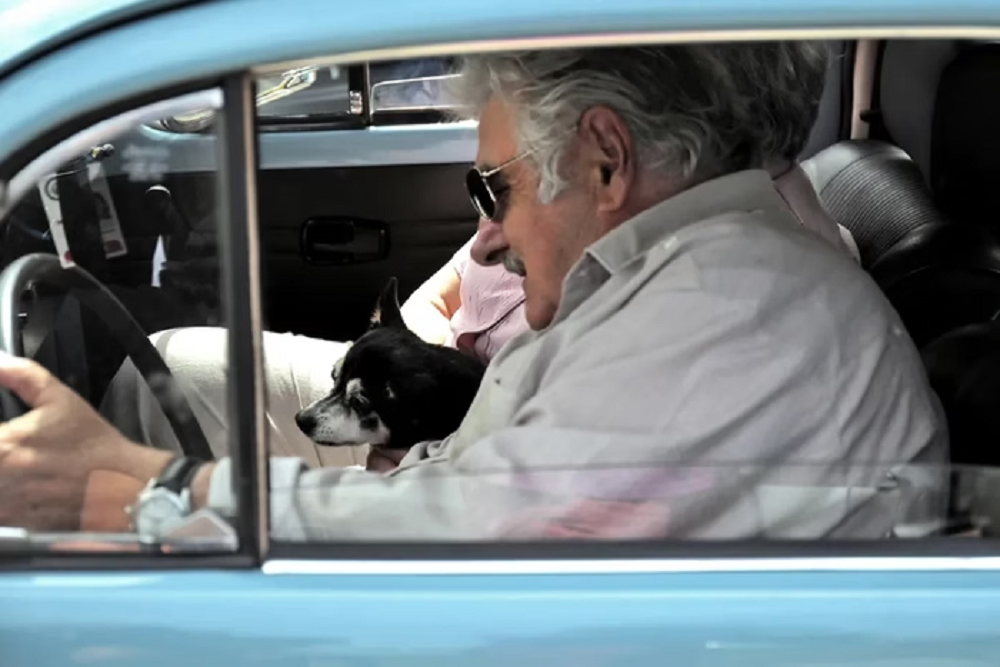 O ex-presidente do Uruguai José Pepe Mujica em fusca com a cadelinha Manuela