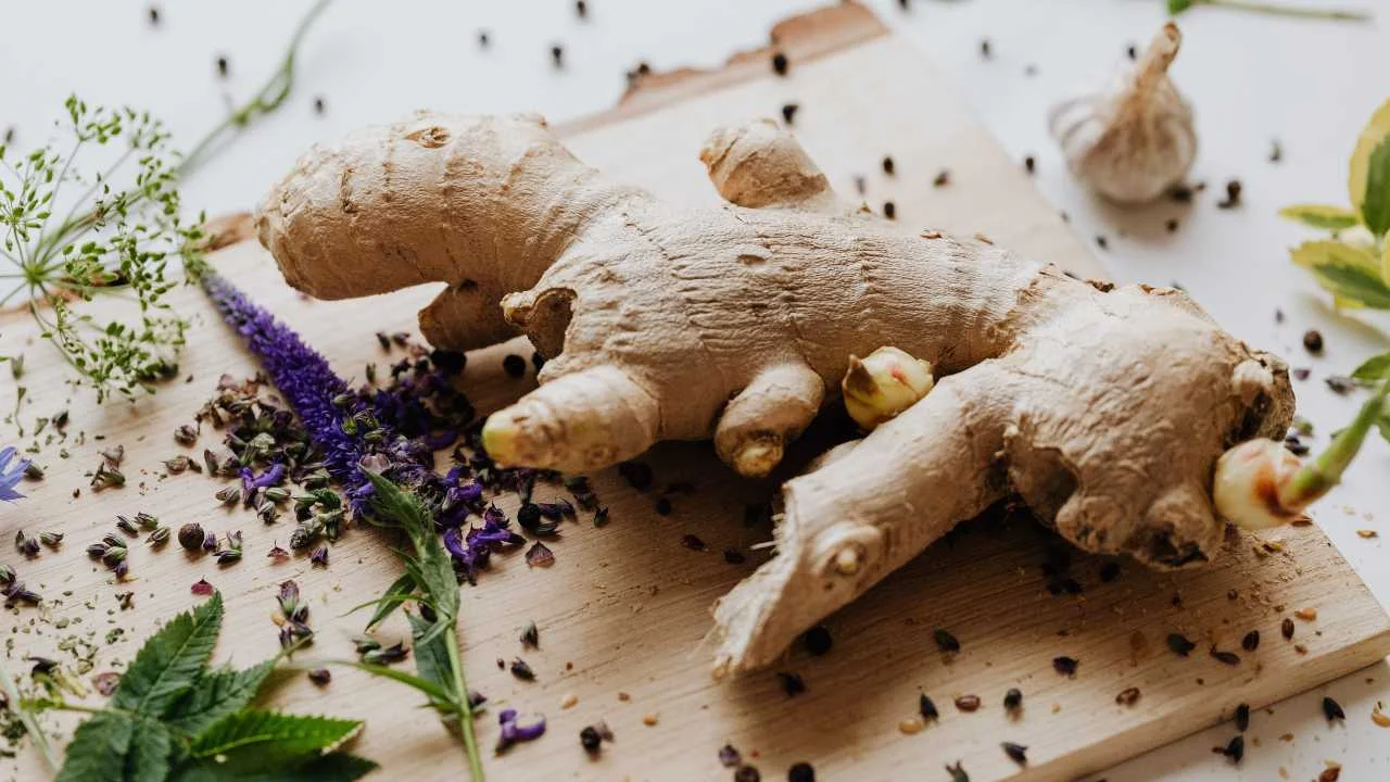 Gengibre