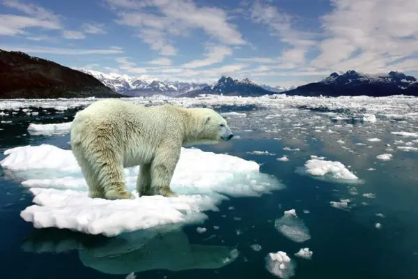 Última chance: o mundo tem 3 anos para impedir um aquecimento global irreversível