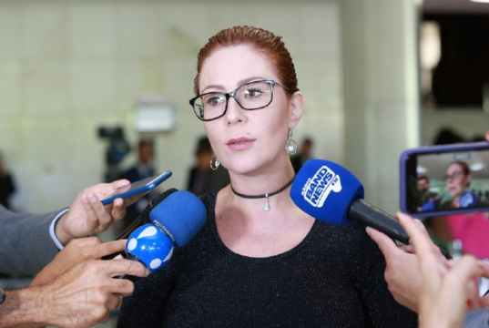 deputada federal licenciada Carla Zambelli (PL-SP) falando em microfones, séria, de óculos e cabelo preso