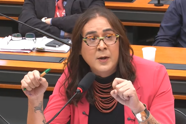 VÍDEO - Duda Salabert obstrui "PL da Devastação" com poemas