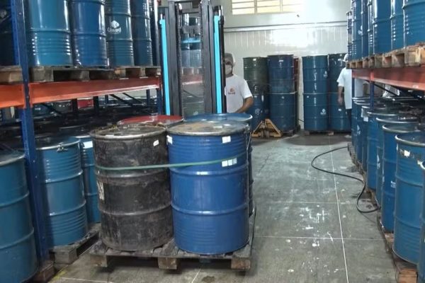 Tarifaço: toneladas de mel são enviadas aos EUA após pedido de produtores