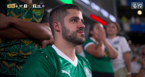 Torcedor do Palmeiras triste