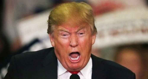 Donald Trump gritando