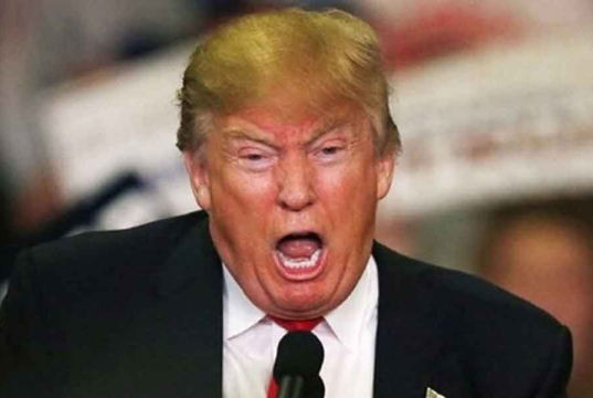 Donald Trump gritando