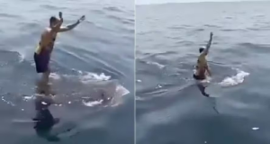 Montagem de duas fotos de homem pulando no dorso de um tubarão-baleia