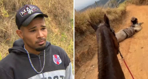 Montagem de fotos de Andrey Guilherme Nogueira de Queiroz e cavalo