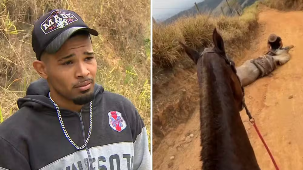 Montagem de fotos de Andrey Guilherme Nogueira de Queiroz e cavalo