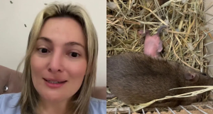 Montagem de fotos da médica veterinária Marcela Ortiz e ratazana com filhote