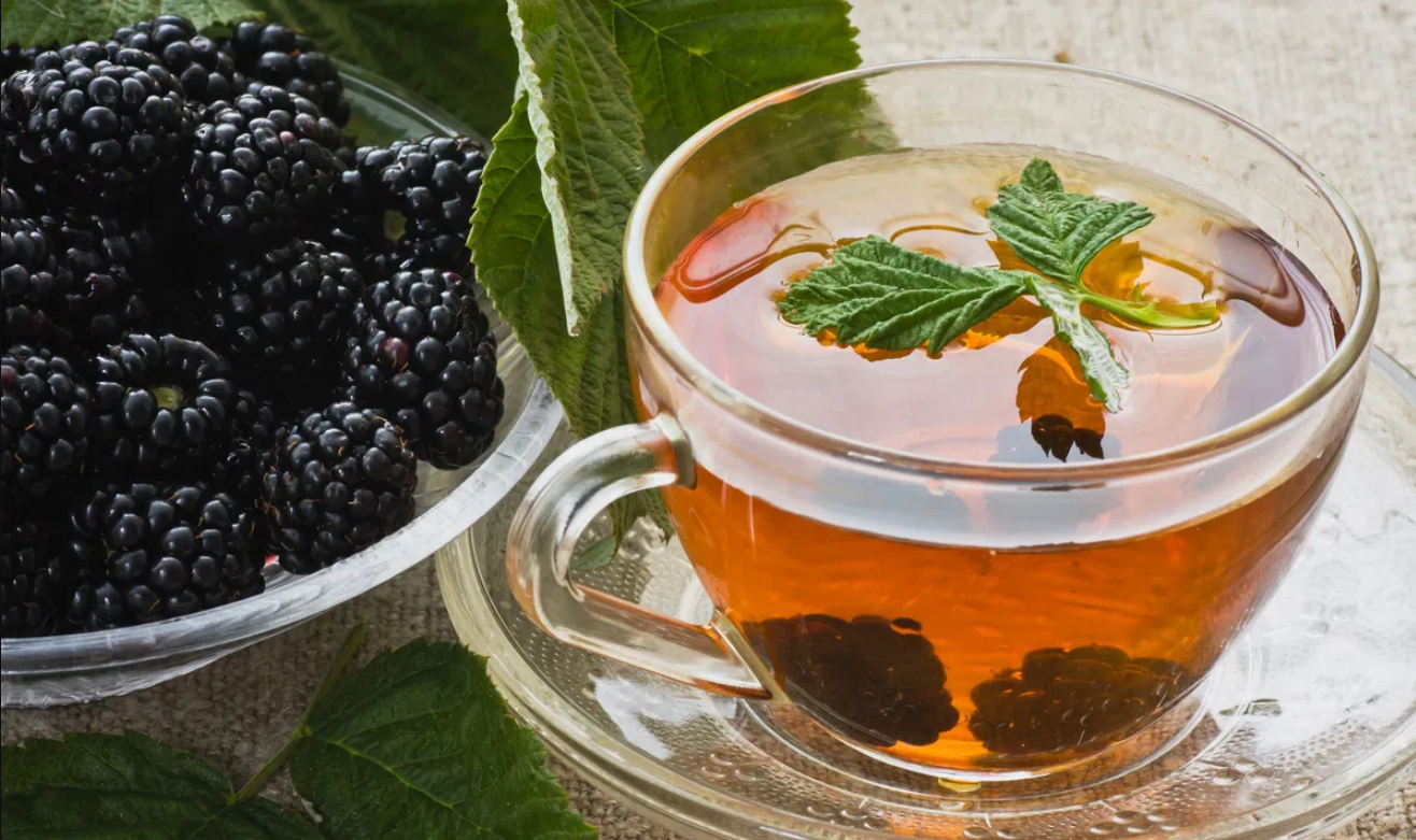 Chá de folha de amora. Foto: Divulgação