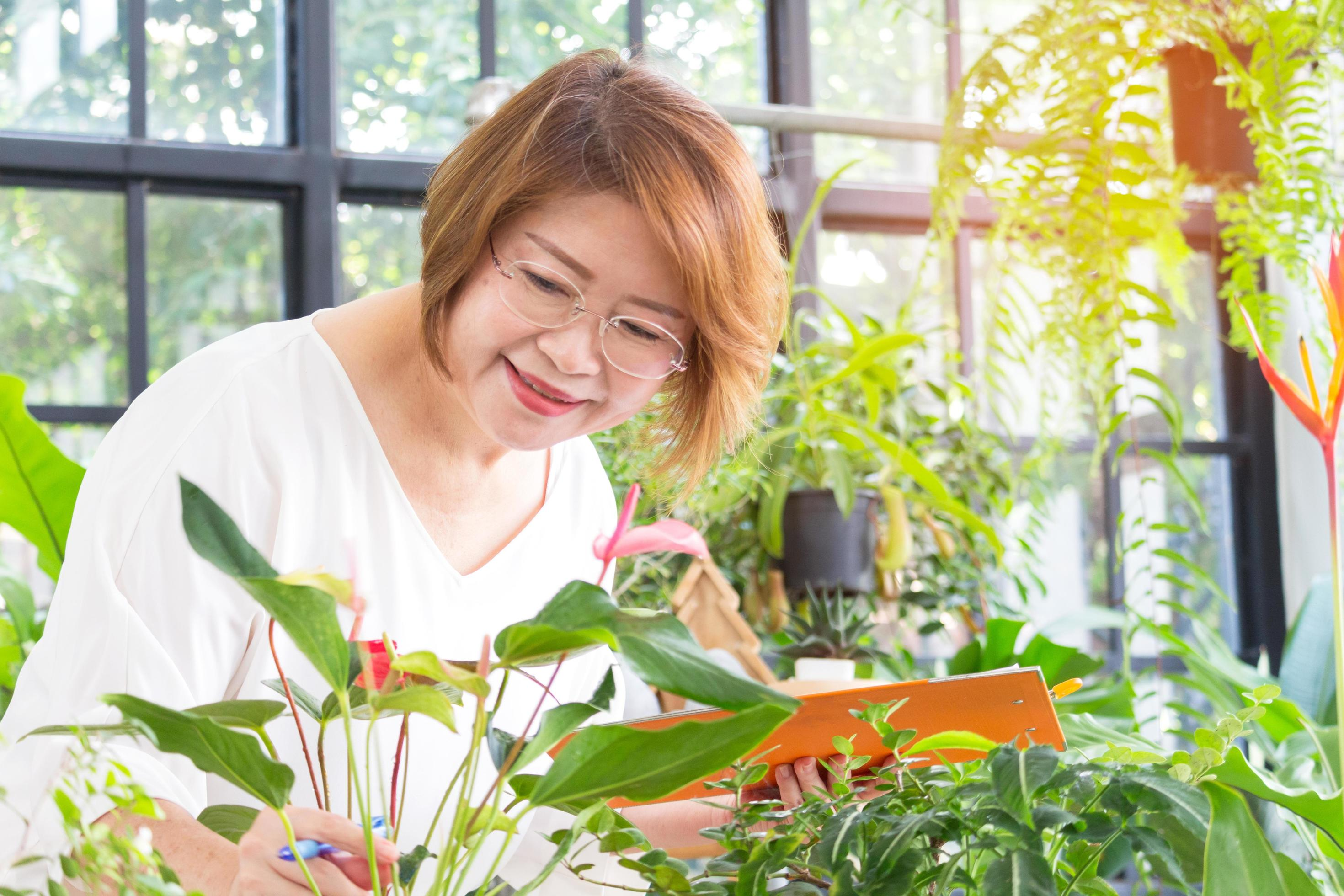Mulher cuidando de plantas