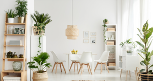 Sala decorada com plantas