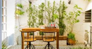 Quintal integrado a apartamento