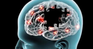 Ilustração de cabeça e cérebro