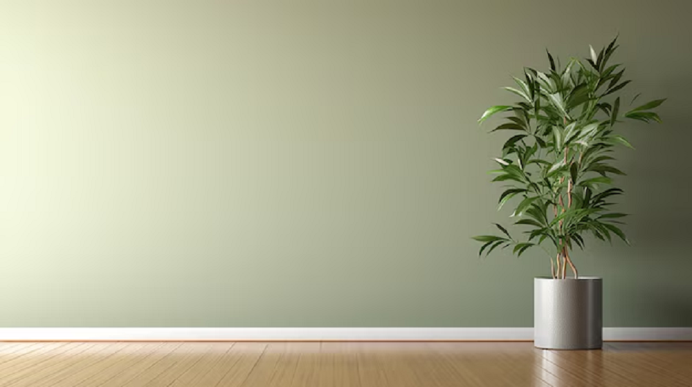 Parede verde sálvia