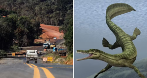 Obra de asfalto paralisada em rodovia do Paraná por conta de fósseis de animais