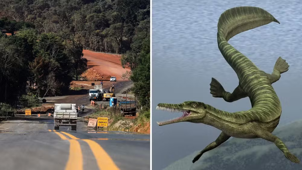 Obra de asfalto paralisada em rodovia do Paraná por conta de fósseis de animais 