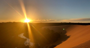 Jalapão no pôr do sol