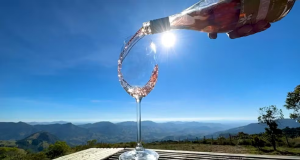 Taça sendo cheia de vinho