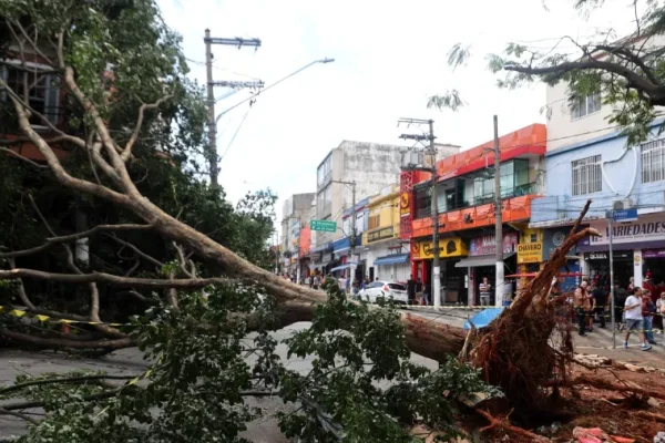 Sakamoto: Milhões sem luz em SP (de novo) lembram que a culpa não é do vento