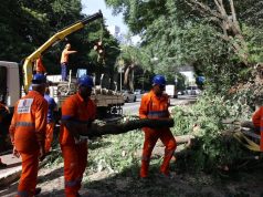 Funcionários da Prefeitura de São Paulo trabalhando com árvore caída na rua