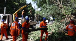 Funcionários da Prefeitura de São Paulo trabalhando com árvore caída na rua