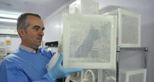 O engenheiro agrônomo Luciano Andrade Moreira