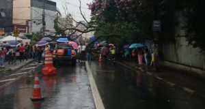 Árvore caiu sobre ponto de ônibus em Guarulhos