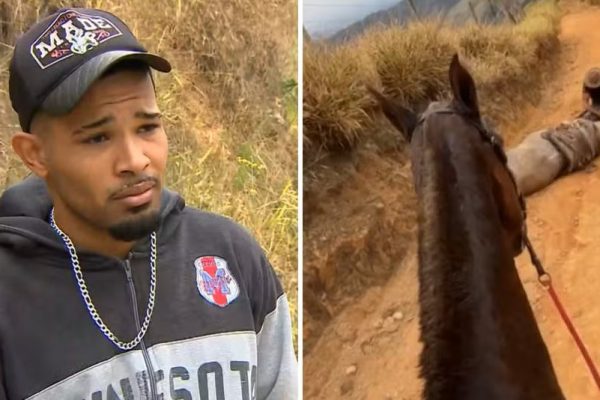 Homem que mutilou cavalo em Bananal é sentenciado a 11 meses de prisão