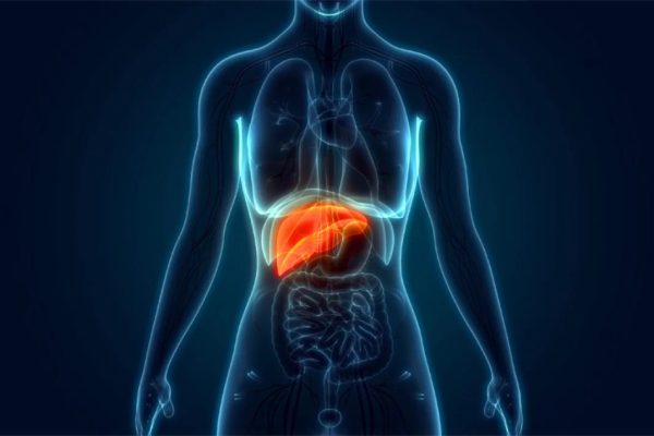 Saiba quais alimentos podem prejudicar seu fígado