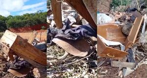 Área onde caixões foram descartados em montagem de três fotos