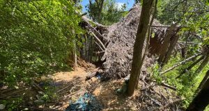 'Casa caída' descrita por crianças no meio do mato