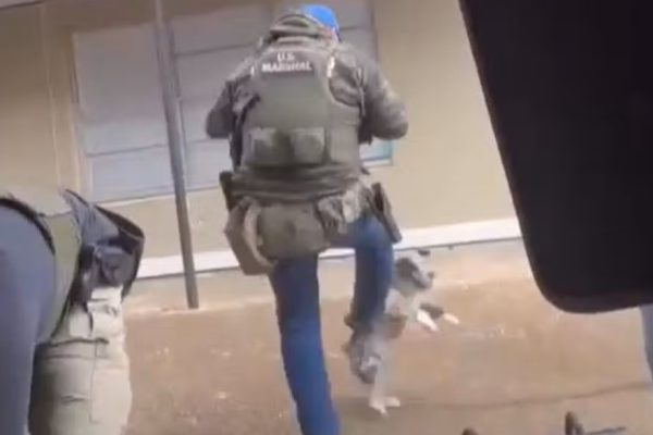 VÍDEO - Agente federal é flagrado chutando cachorro em operação nos EUA
