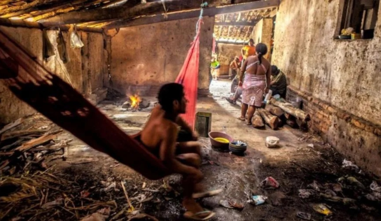 Pessoas em condições análogas à escravidão em fazenda de café em MG 