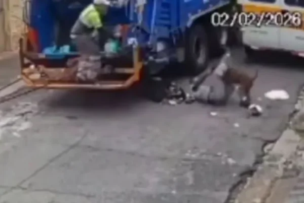 VÍDEO: Ataque de pit-bull arranca parte do dedo de coletor de lixo em SP
