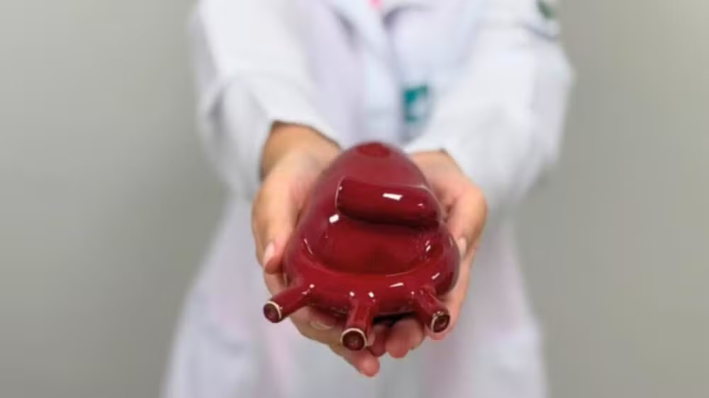 Mão segurando peça vermelha em formato de coração