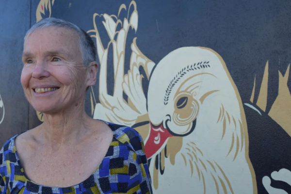 Turista morre após ataque de elefante em safári na Zâmbia