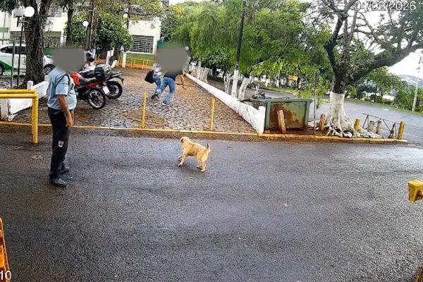 Segurança vê assalto, não detém ladrão, debocha da vítima e é afastado