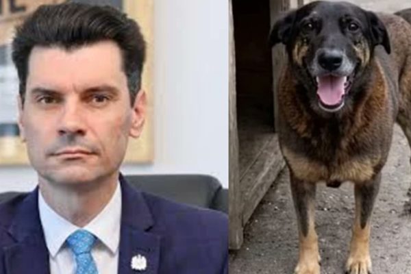 Ministério Público investiga ex-delegado-geral por conduta no caso Orelha