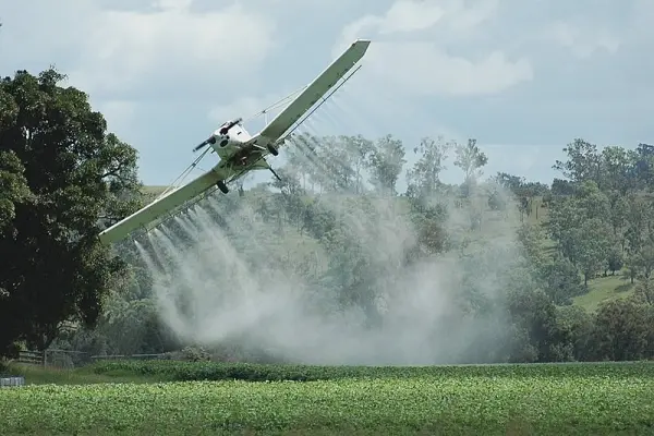Brasil diminui resíduos de agrotóxicos em alimentos ao menor patamar em 8 anos, diz Anvisa