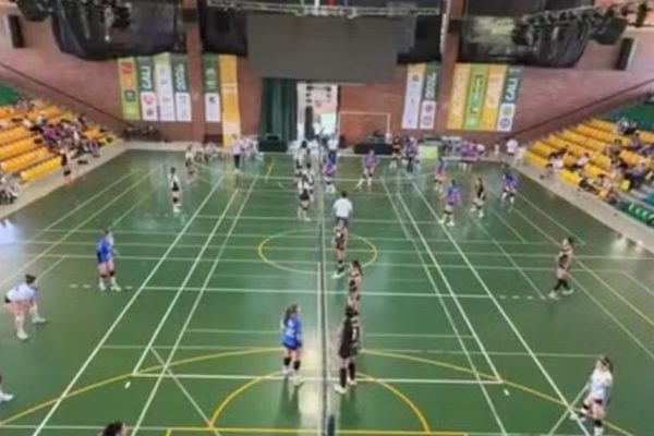 Estudantes brasileiros são chamados de “macacos” em encontro na Colômbia