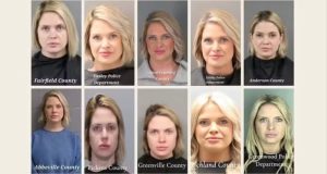 Pamela Brooke Schronce em 15 dos seus 16 mugshots