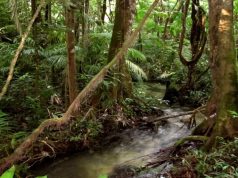Área em que confronto ocorreu
