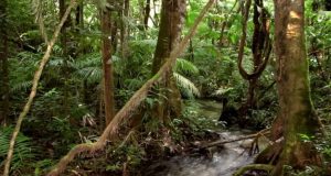 Área em que confronto ocorreu