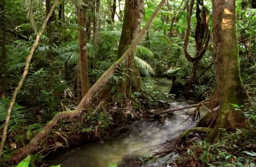 Área em que confronto ocorreu 