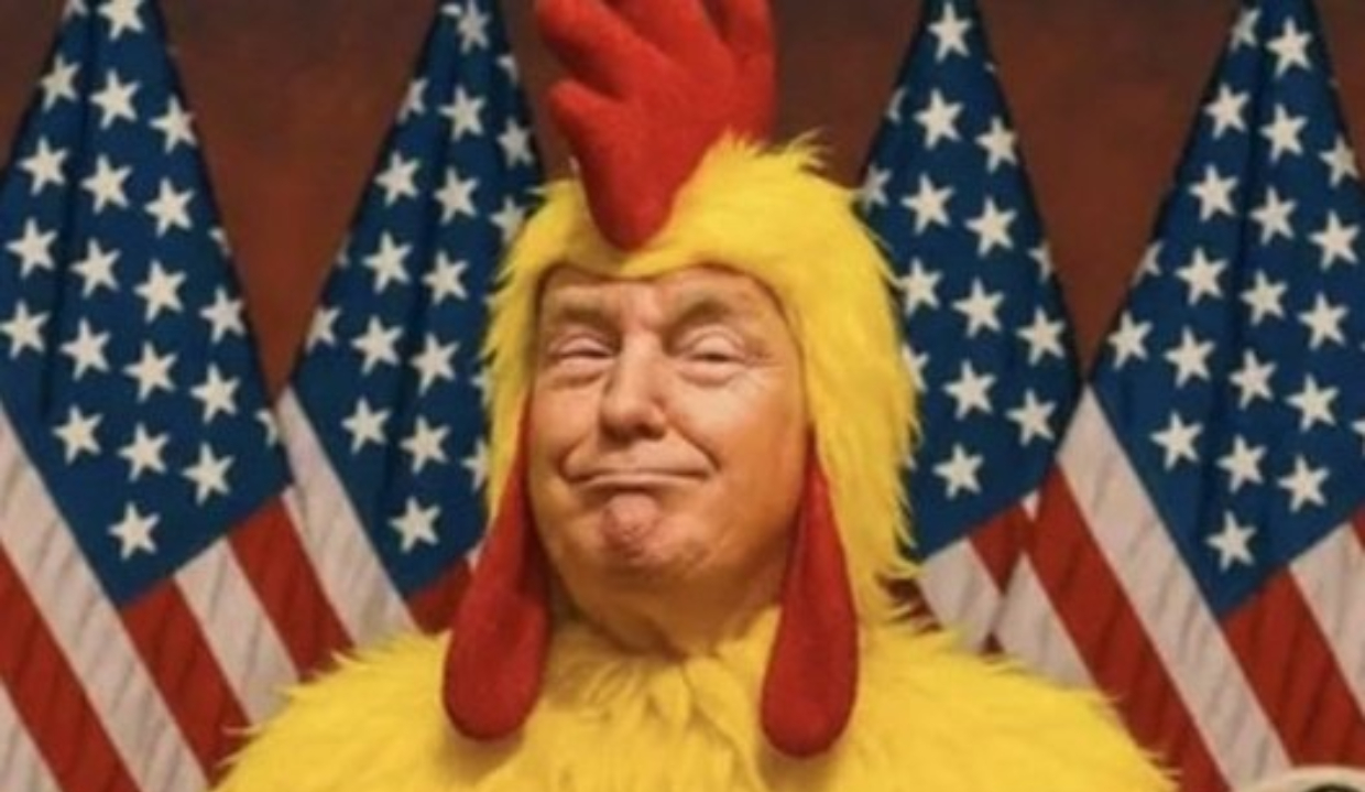 Trump vestido de galinha