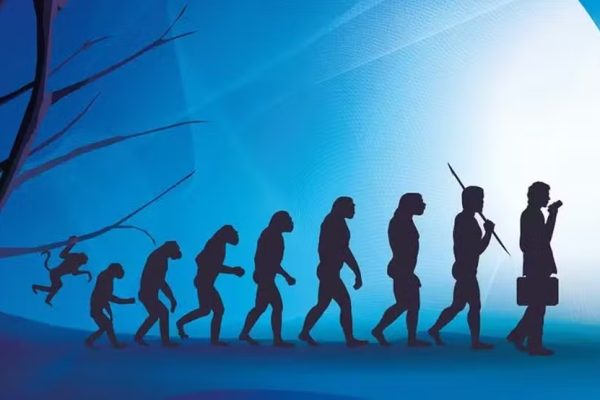 As falhas evolutivas no corpo humano que explicam dores, partos difíceis e doenças
