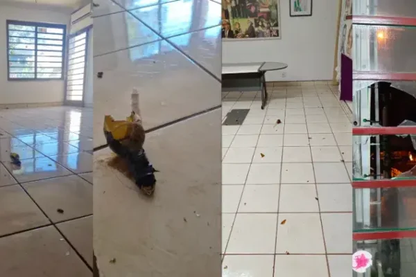 Ataque com explosivos contra sede do PT em Ribeirão Preto é classificado como atentado político