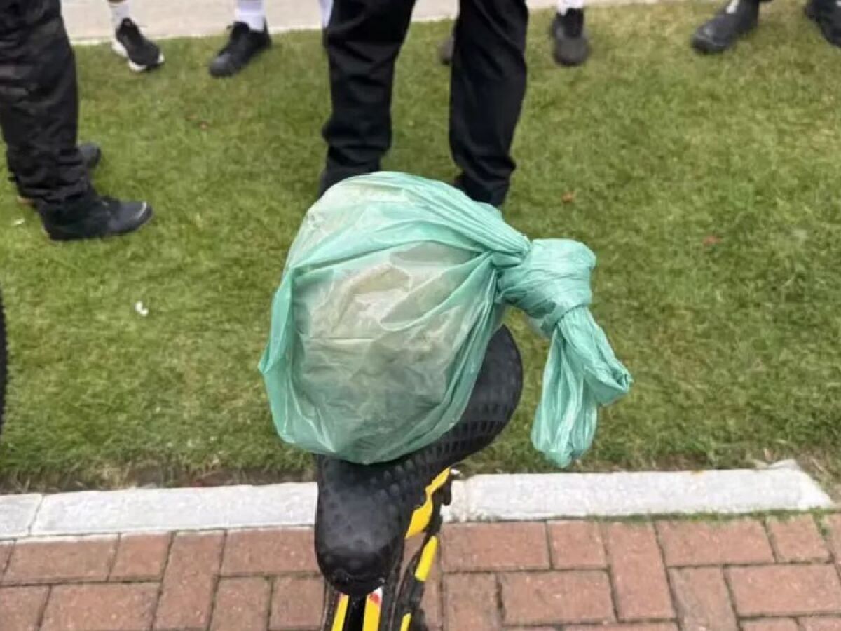 Pedaço de crânio humano foi localizado em Praia do Pajuçara (AL)